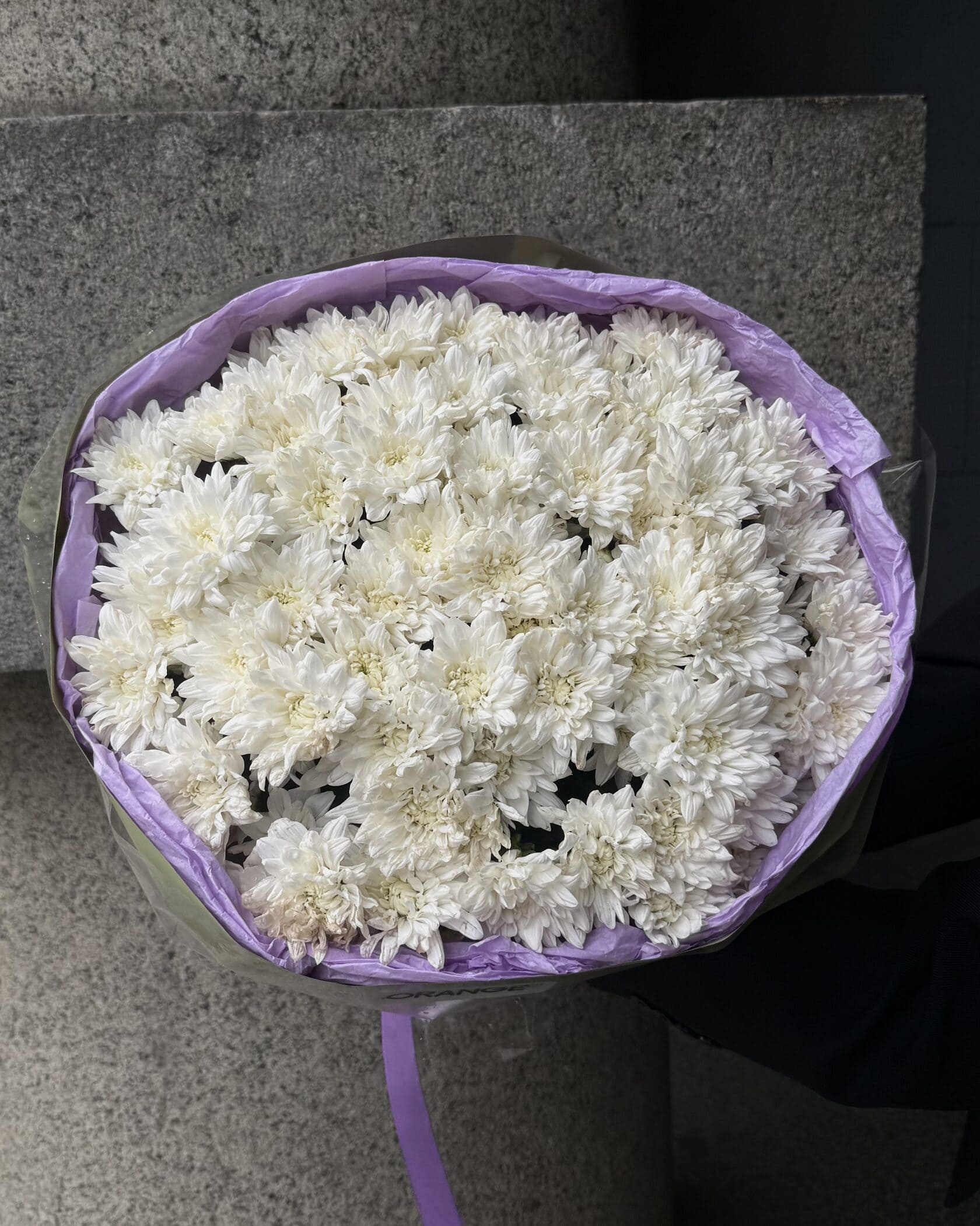 Умник