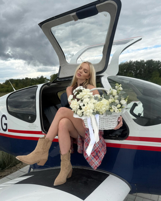 Единственный Пилот